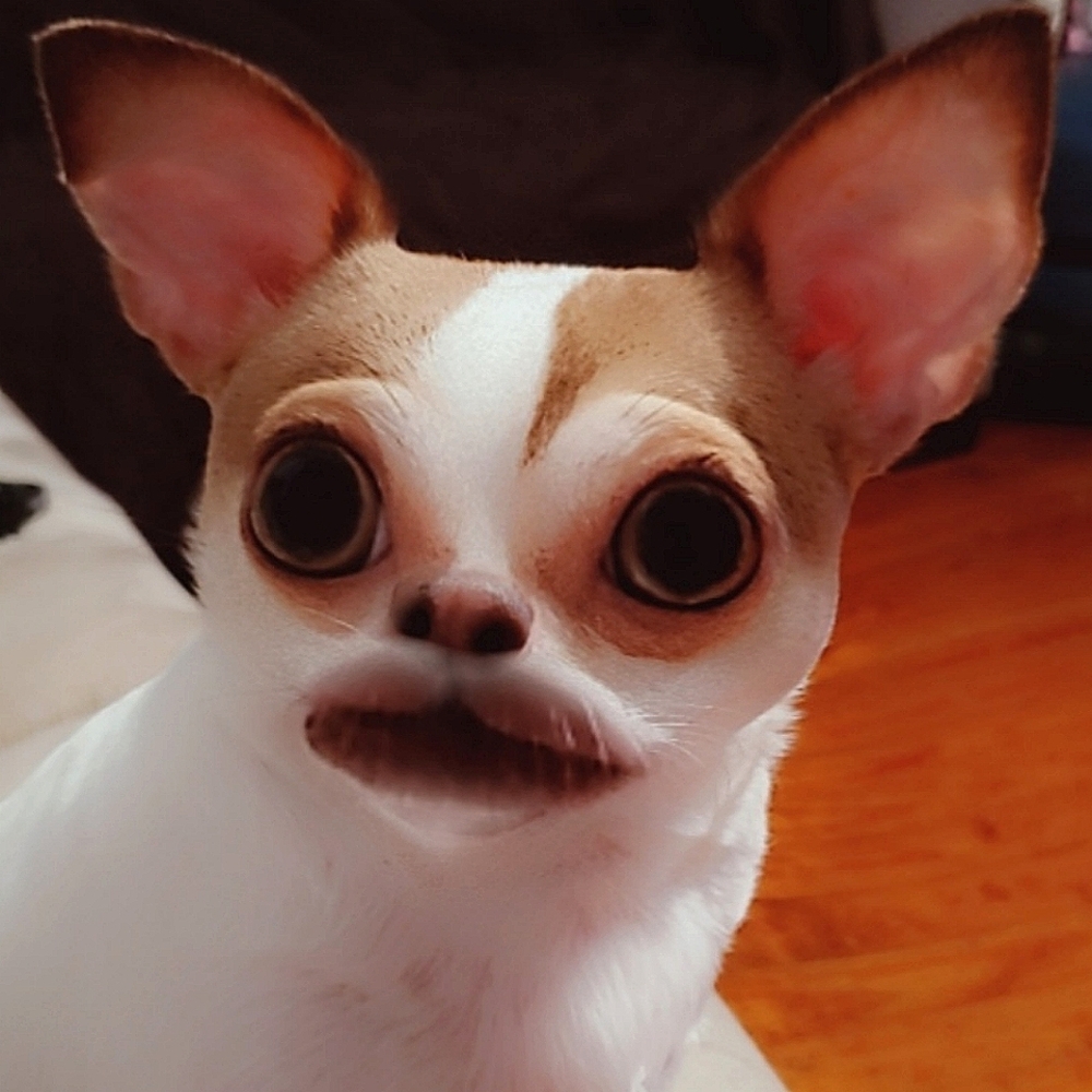 Meet your Posher, Sandra